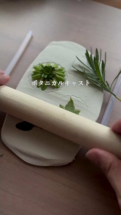 植物をかたどったボタニカルキャスト