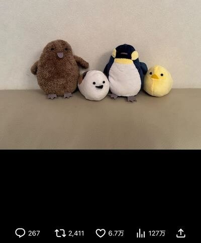 北川景子のX投稿