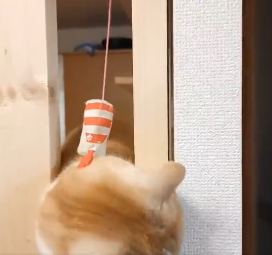 出所：@nekotansoku