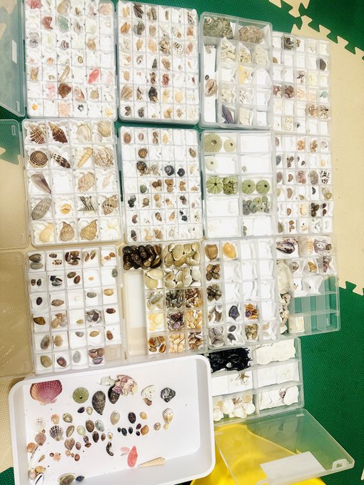 提供：@MLavcaさん