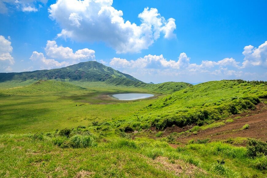 TOMO/shutterstock.com