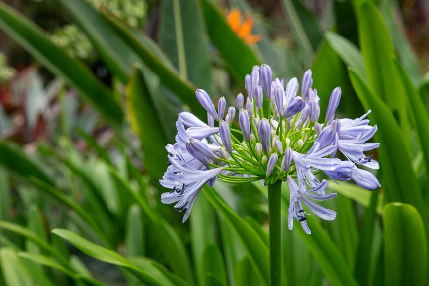 Ana Iacob Photography/shutterstock.com