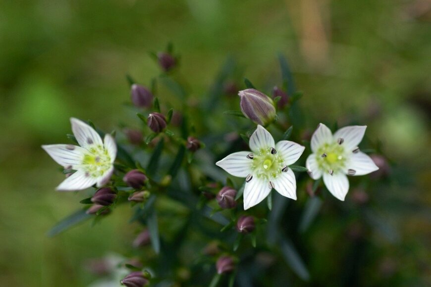 gyro/istockphoto.com