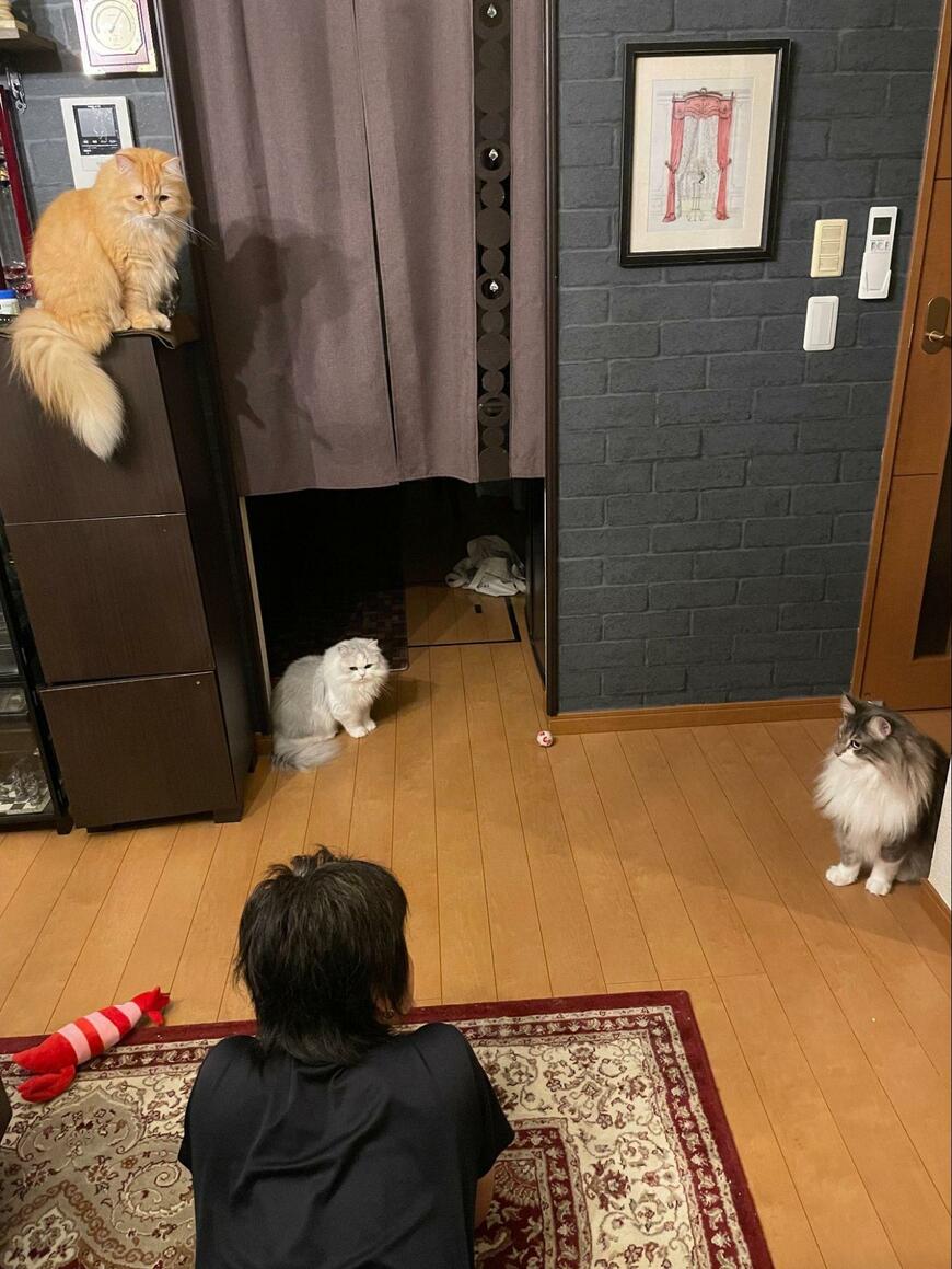 出所：@NEKOLAND13