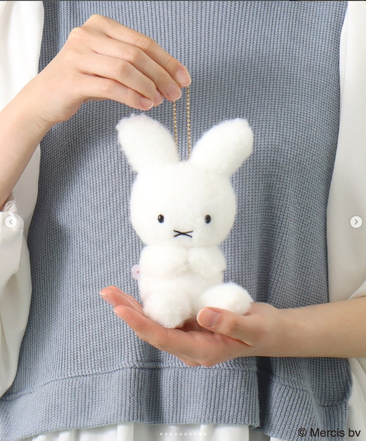 出所：ブルーブルーエ公式Instagram