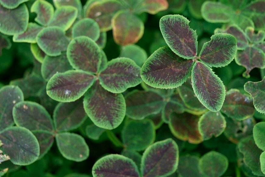 skymoon13/istockphoto.com