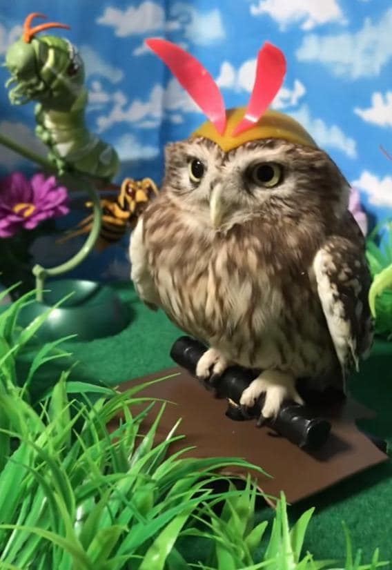 出所：@cr8673.hiro