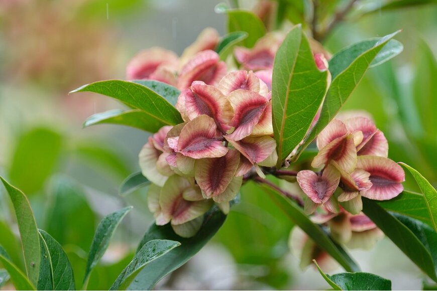 rudiPro/Shutterestock.com