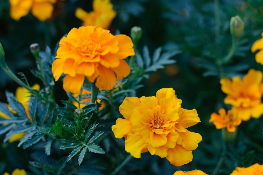 virginna/istockphoto.com