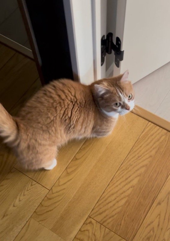 出所：@kotaro_0315