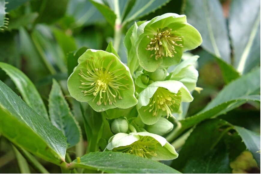 Katya Pankratova/istockphoto.com