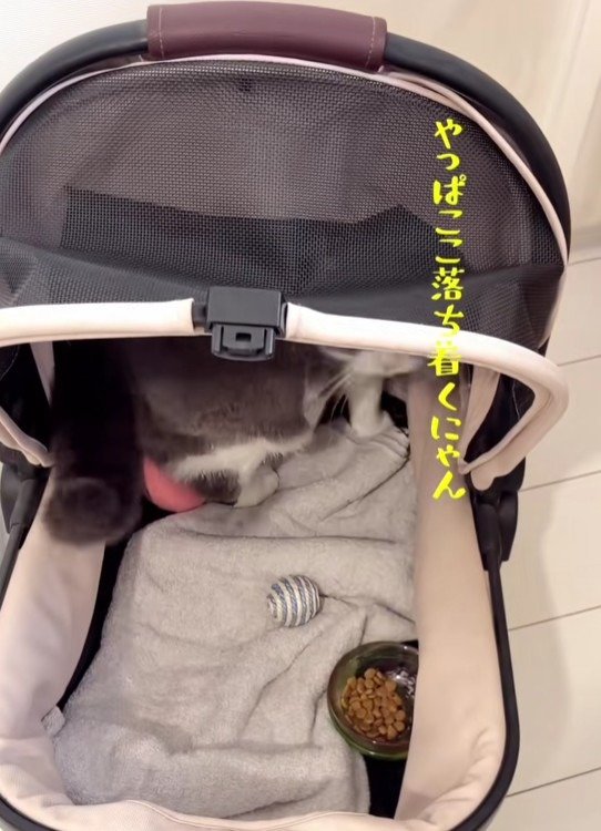 出所：＠maru0920b