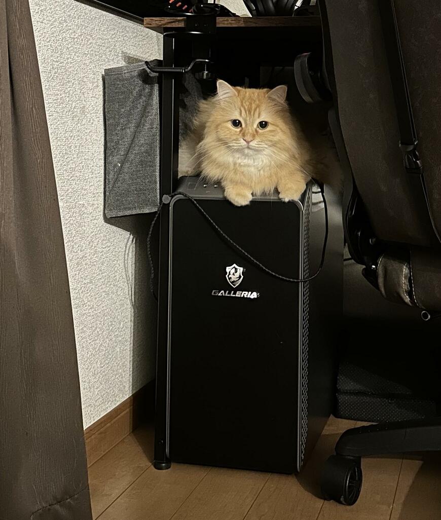 出所：@NEKOLAND13