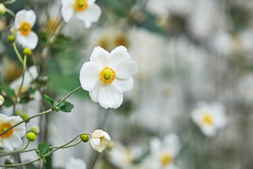 igaguri_1/istockphoto.com