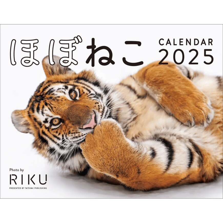 出所：辰巳出版株式会社