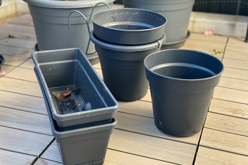 Lapa Smile/shutterstock.com