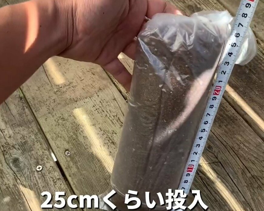 長ネギの栽培方法