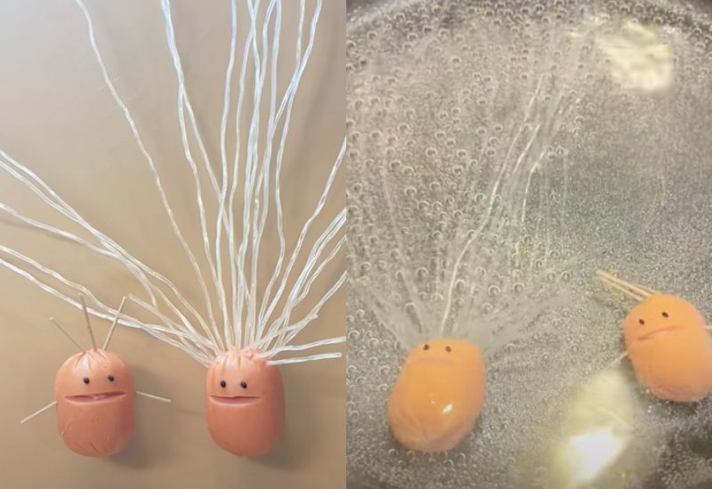 投稿動画のワンシーン