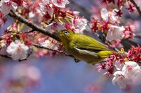 【老齢年金世代】65歳以上の夫婦の1カ月の生活費はどのくらい？最新の統計から実態を検証