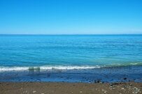 オホーツク海の浜辺で拾った「おいしそうな石」　スイーツのような見た目に「完璧すぎてびっくり」「粉砂糖感が良き」