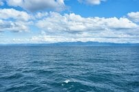 冬の山形県で撮影された「泡だらけの海岸」に目を疑う　その正体に「独特の匂いを思い出す」