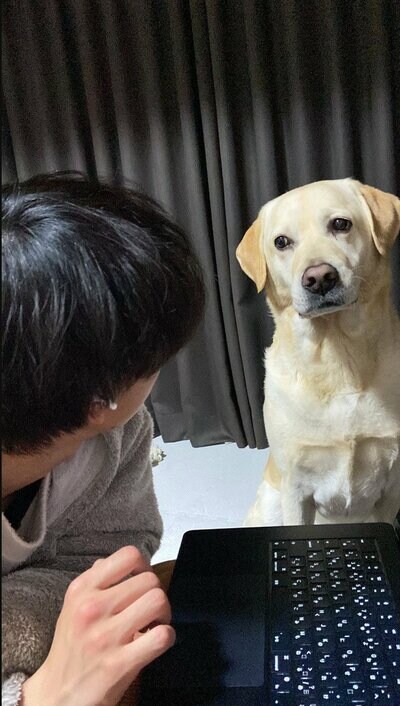ジッ…と見つめるロキくん