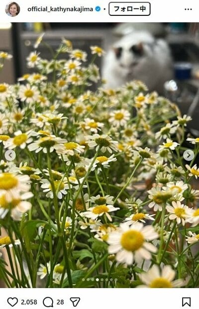 キャシー中島のInstagram投稿