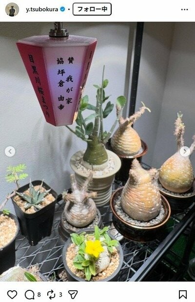 坪倉由幸のInstagram投稿