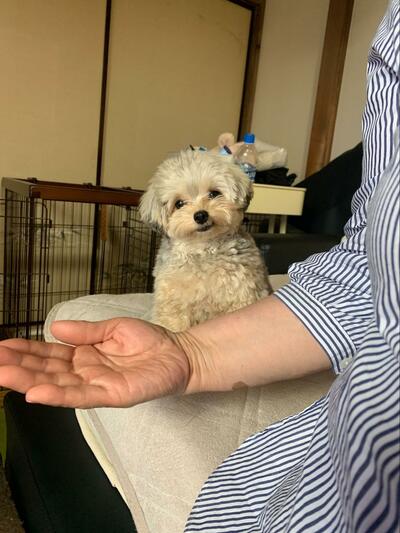 投稿の画像