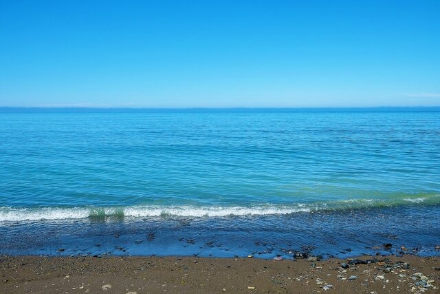 オホーツク海の浜辺で拾った「おいしそうな石」　スイーツのような見た目に「完璧すぎてびっくり」「粉砂糖感が良き」