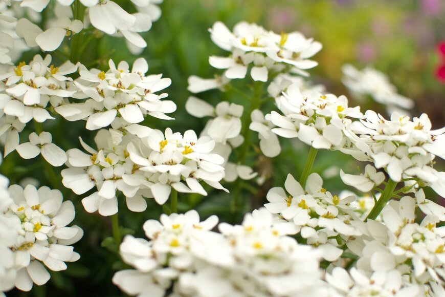 Aoka/istockphoto.com