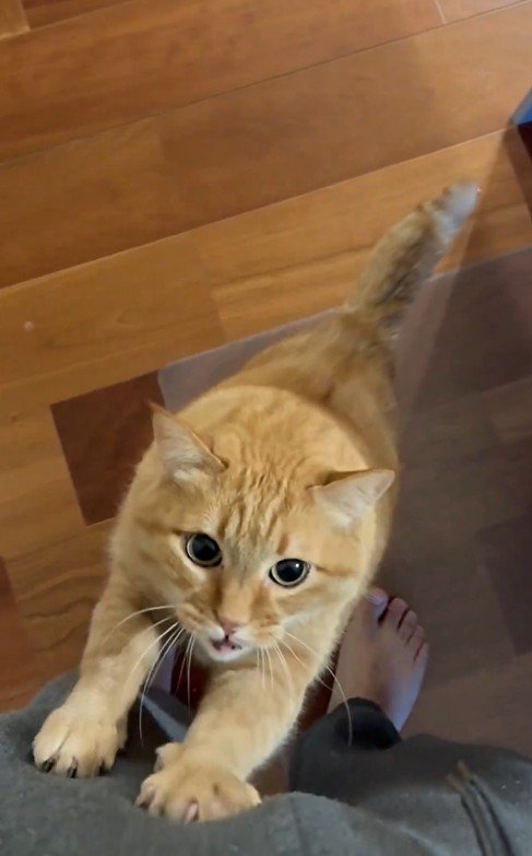 出所：@kagisuzu0531