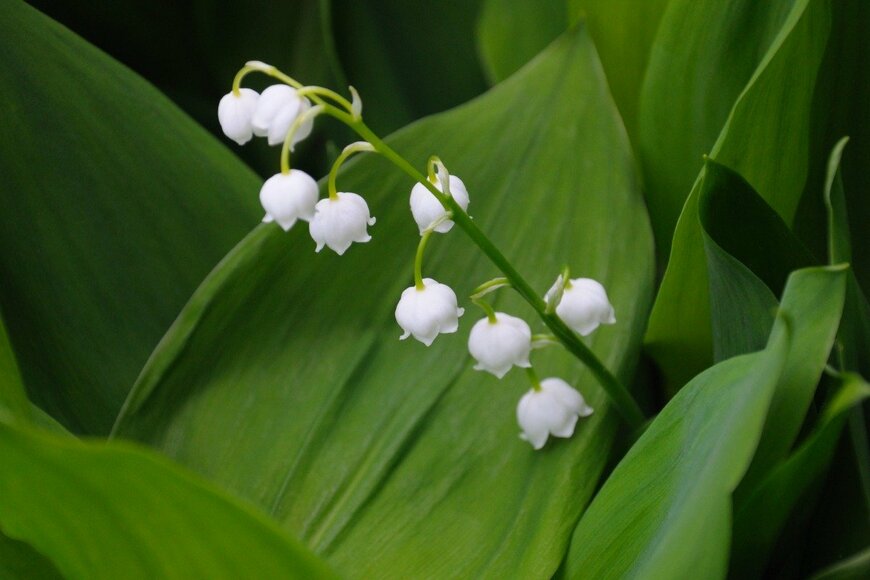 serg269/istockphoto.com