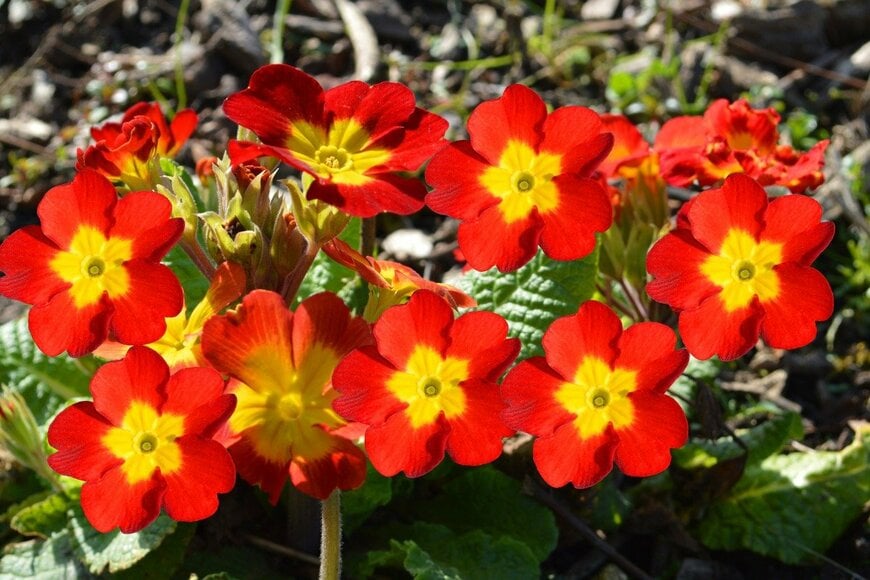 PeterEtchells/istockphoto.com