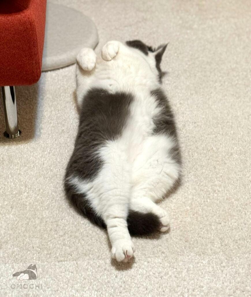 出所：@omochiomoching