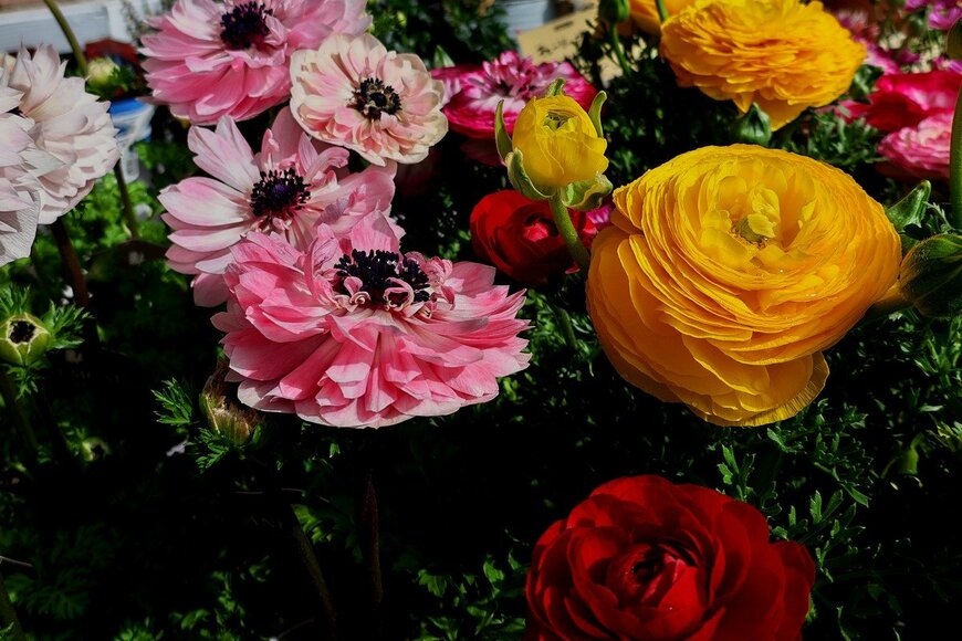 IchirouTsumori/istockphoto.com