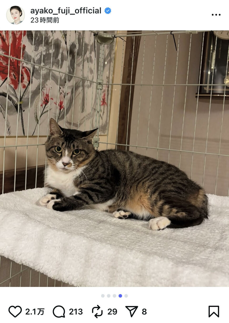 出所：藤あや子のInstagram（＠ayako_fuji_official）参照日：2025年8月14日