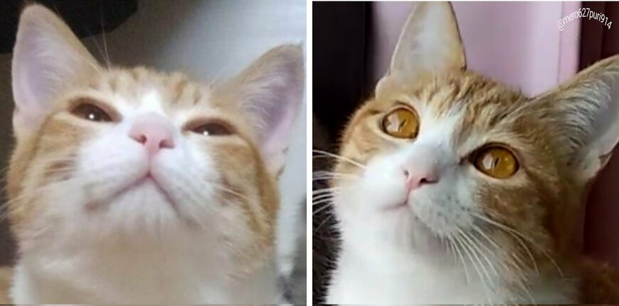 出所：@mero627puri914