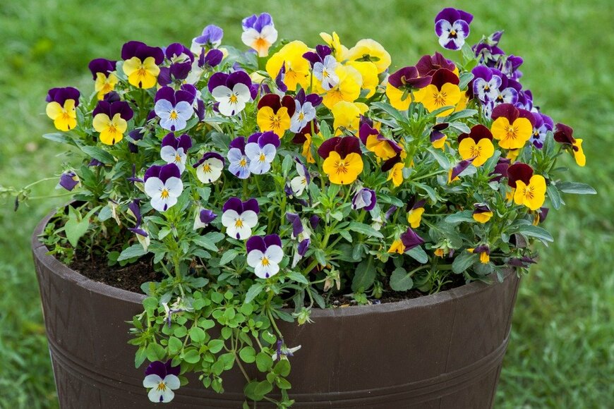 PavloBaliukh/istockphoto.com