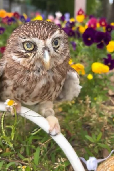 出所：@cr8673.hiro