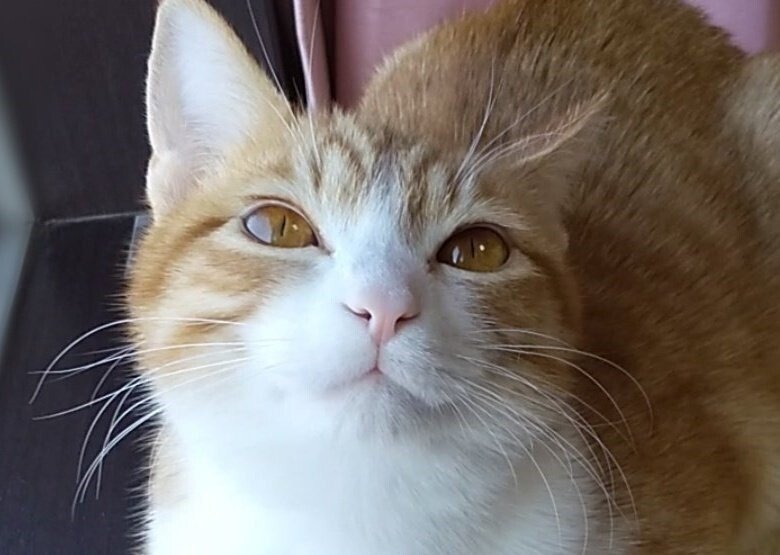 出所：@mero627puri914