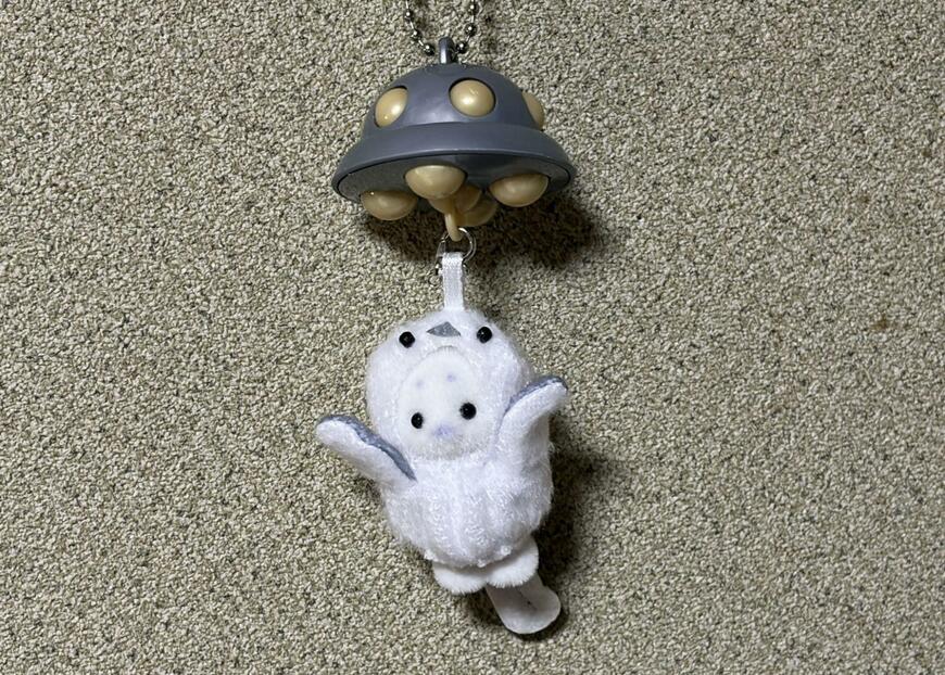 筆者撮影（セリア、連れさりUFO）