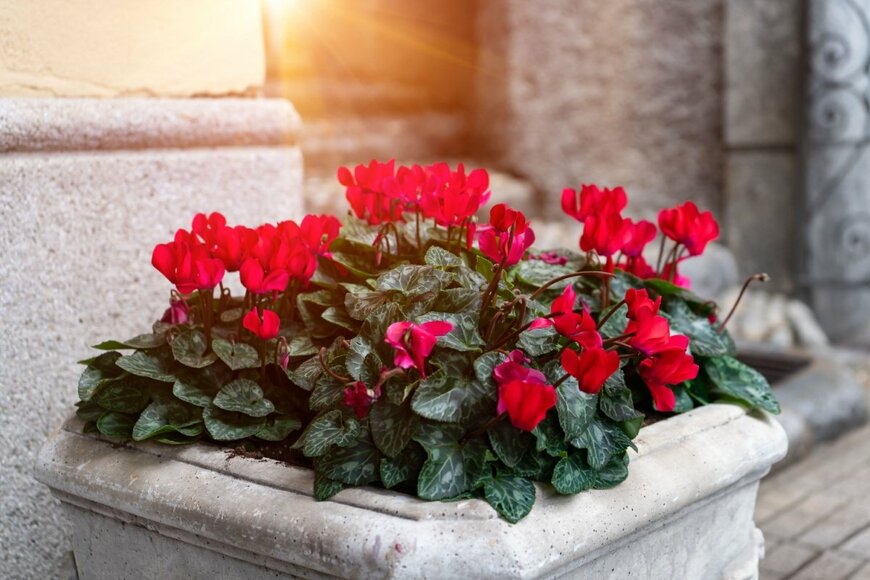 Stor24/shutterstock.com