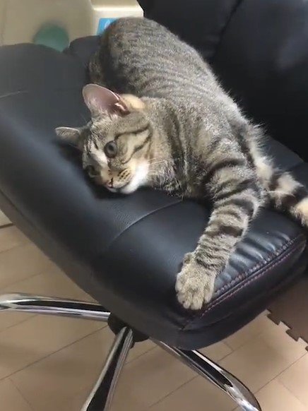 出所：@mero627puri914