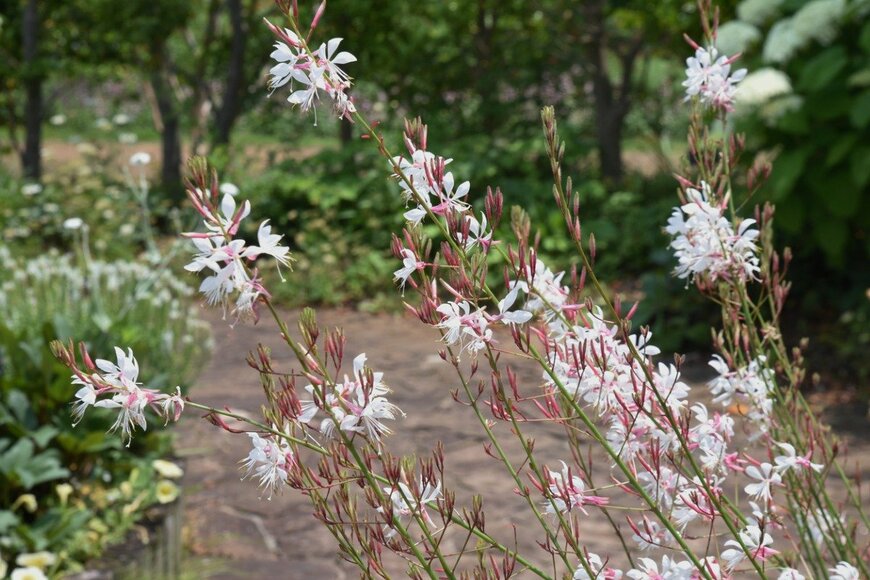 undefined undefined/istockphoto.com