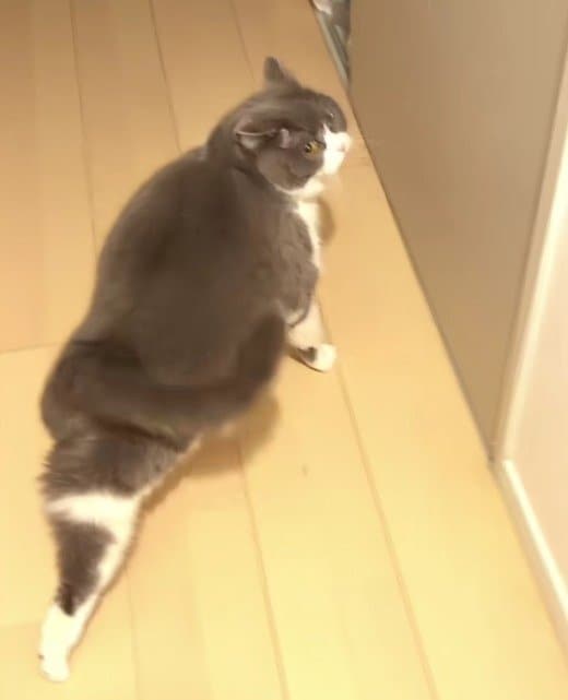 出所：＠maru0920b