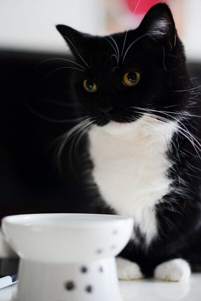 出所：＠unicouniuni3