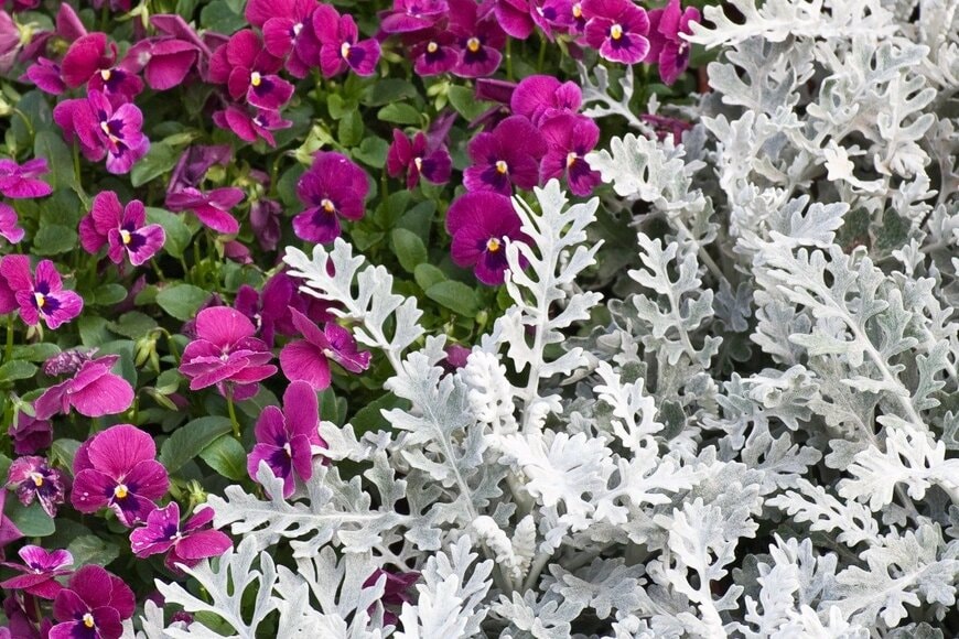 Teresatky/istockphoto.com