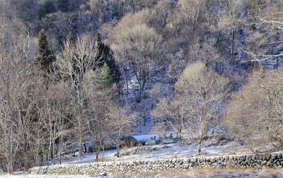 教習所で練習する一本橋なんてどこにあるの？と思ってたら…「今こそ試される時」「難易度が上がってますね」