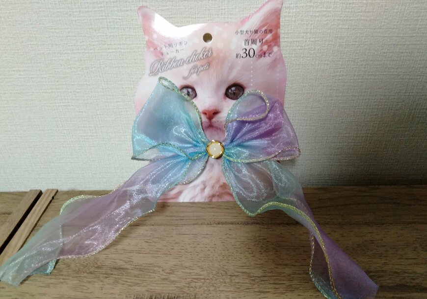 筆者撮影（セリア、ペット用チョーカー グラデーションリボン）